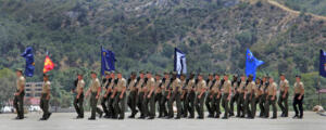 IMG_1905_30x12